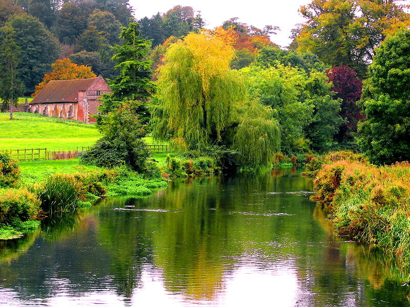 River with Willow Tree