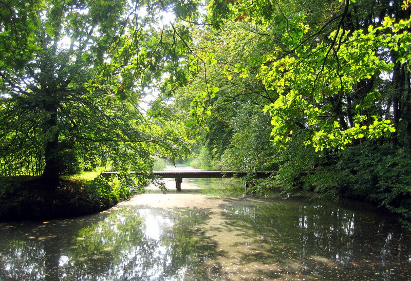 River with Wooden Bridge — Green, Serene, Afternoon, Photograph
