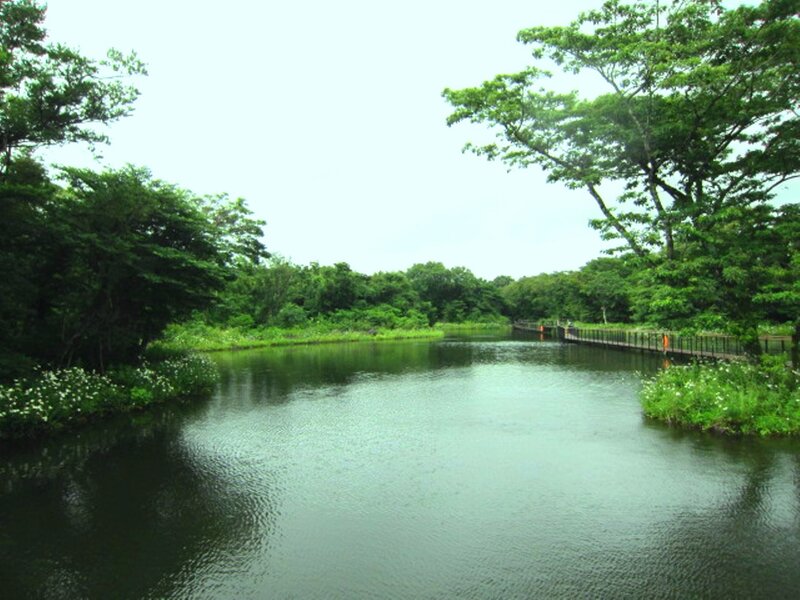 River with Wooden Bridge