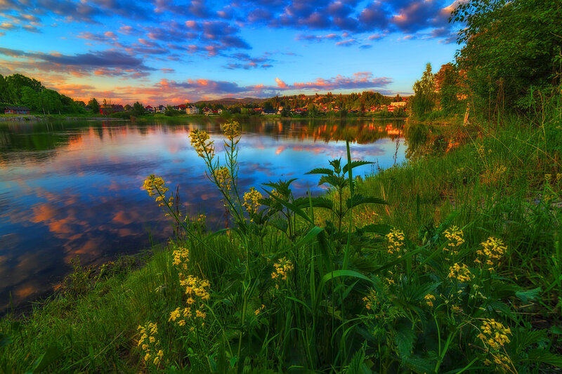 River with Yellow Flowers — Blue