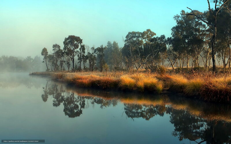 Riverbank at Dawn — Blue