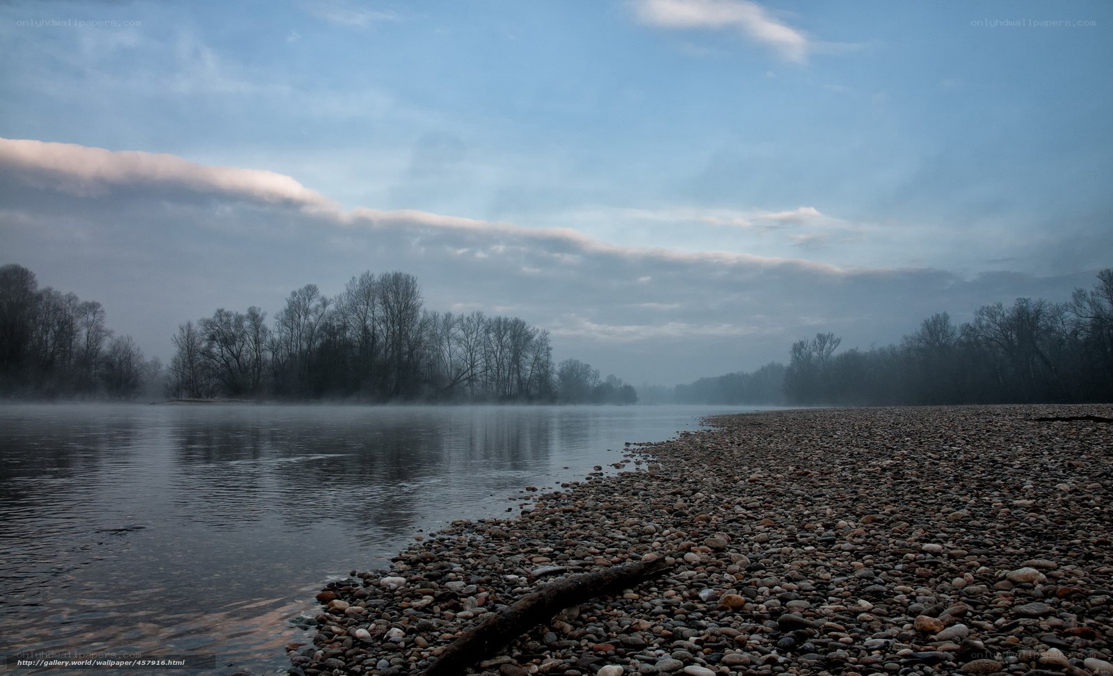 Riverbank at Dawn