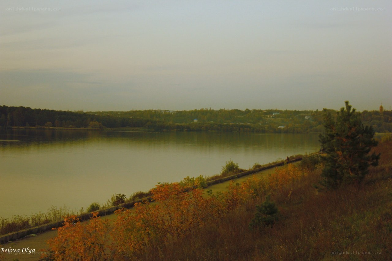 Riverbank at dusk