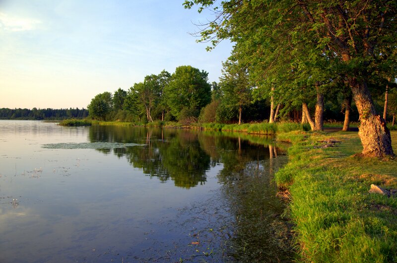 Riverbank at Sunset — Green
