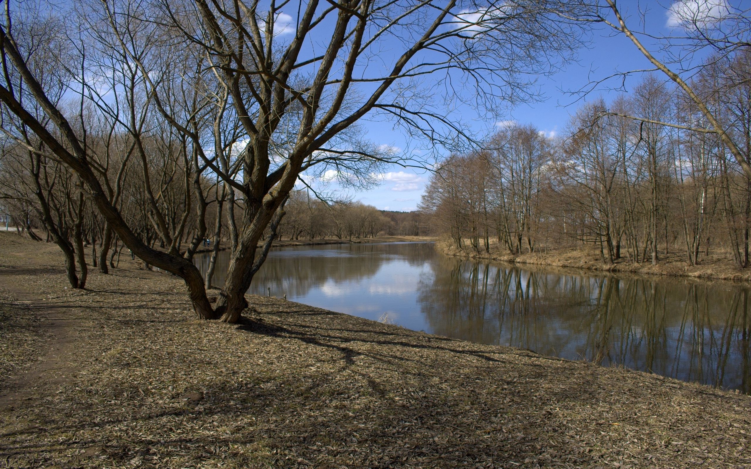 Riverbank in early spring