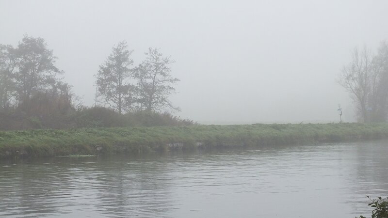 Riverbank in Fog