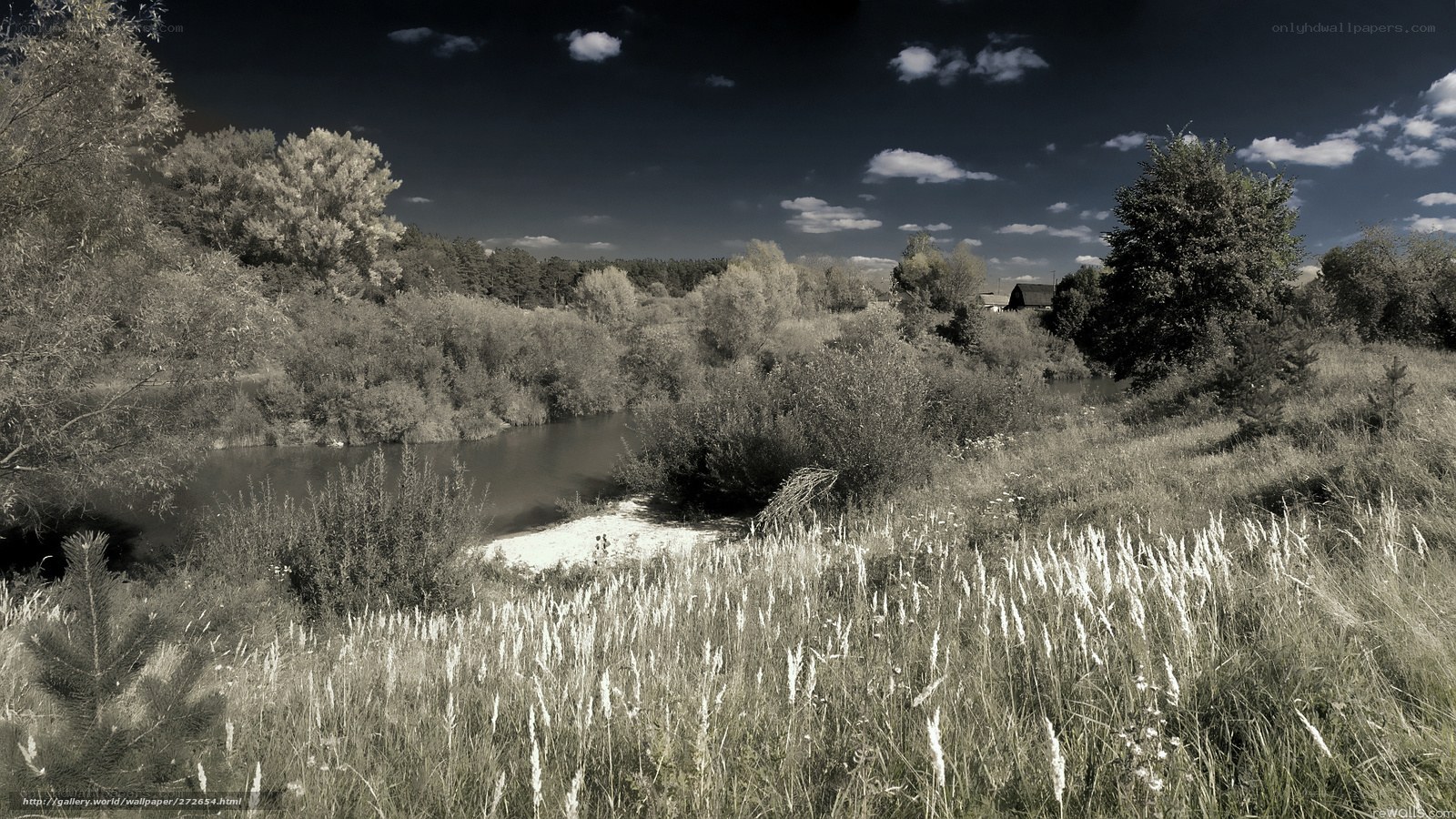 Riverbank in Infrared