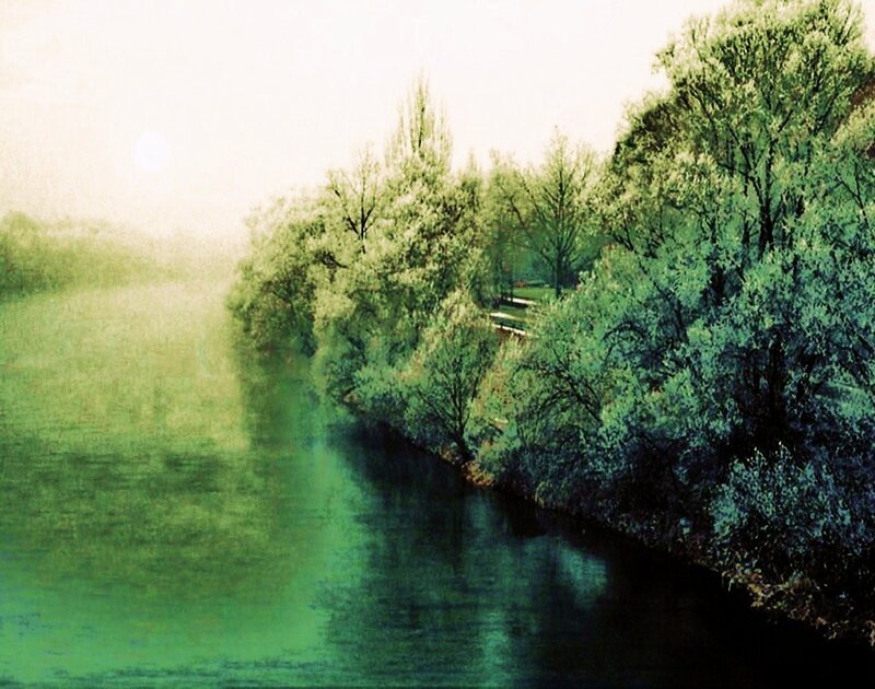 Riverbank in soft light