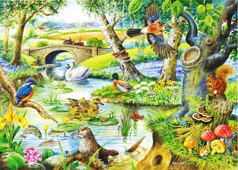 Riverbank Wildlife Scene