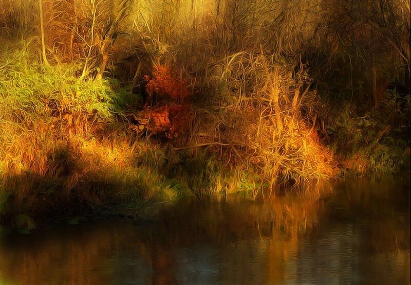Riverbank with Autumn Foliage — Yellow
