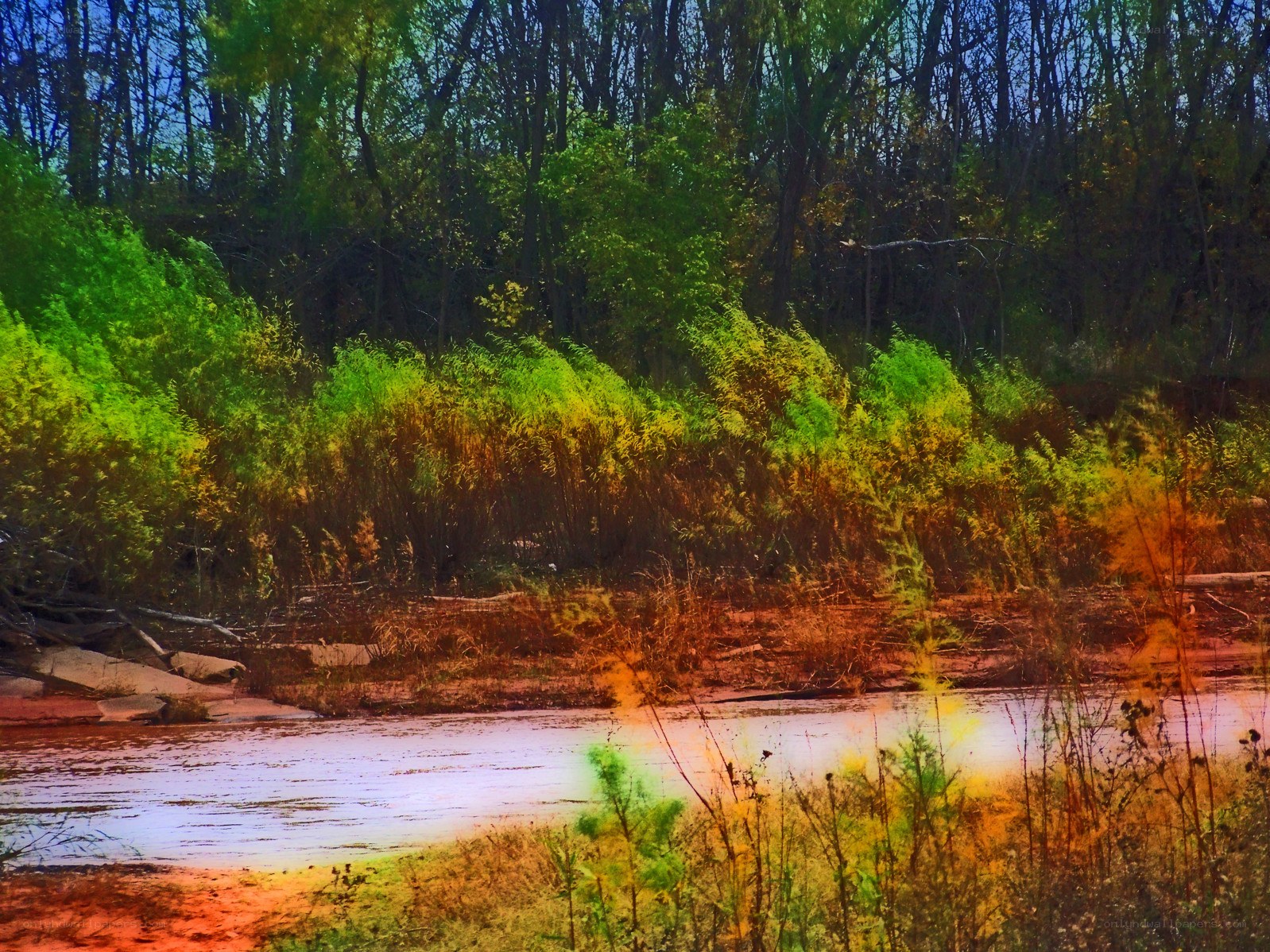 Riverbank with autumn foliage
