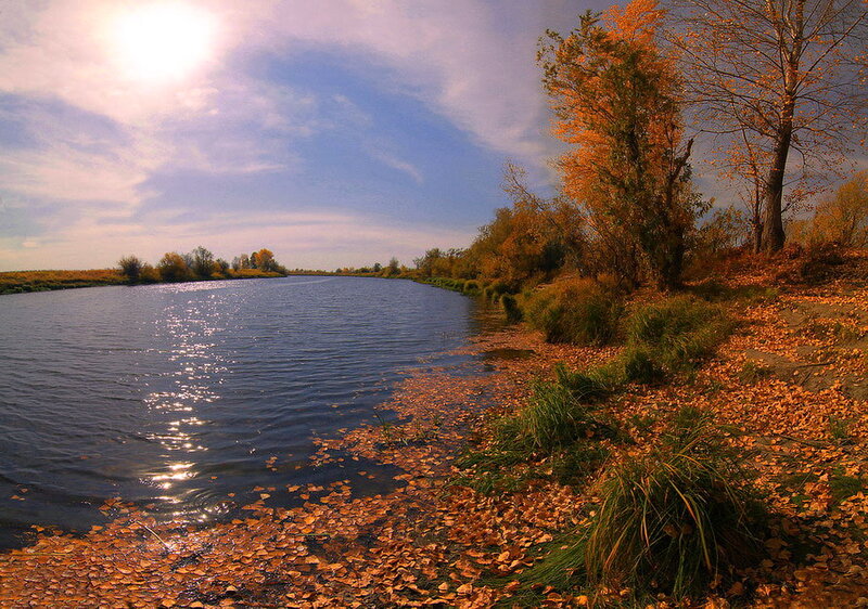 Riverbank with Autumn Leaves