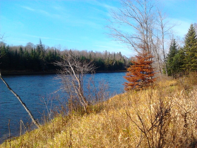 Riverbank with Autumn Trees — Blue