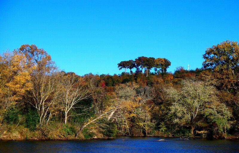 Riverbank with Autumn Trees