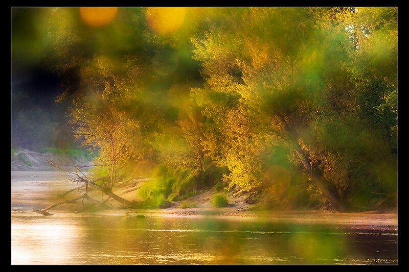 Riverbank with Autumn Trees — Yellow