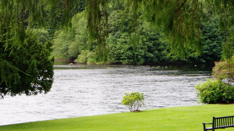 Riverbank with Bench — Green