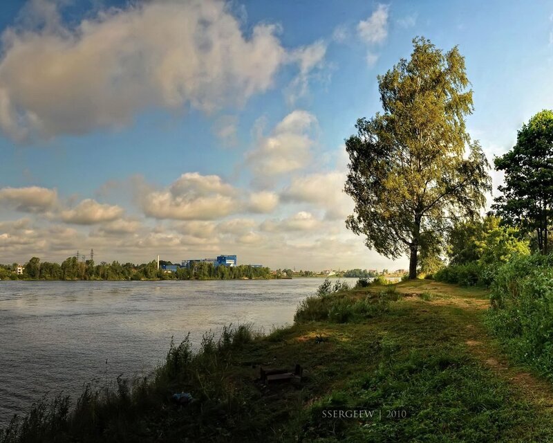 Riverbank with Birch Tree