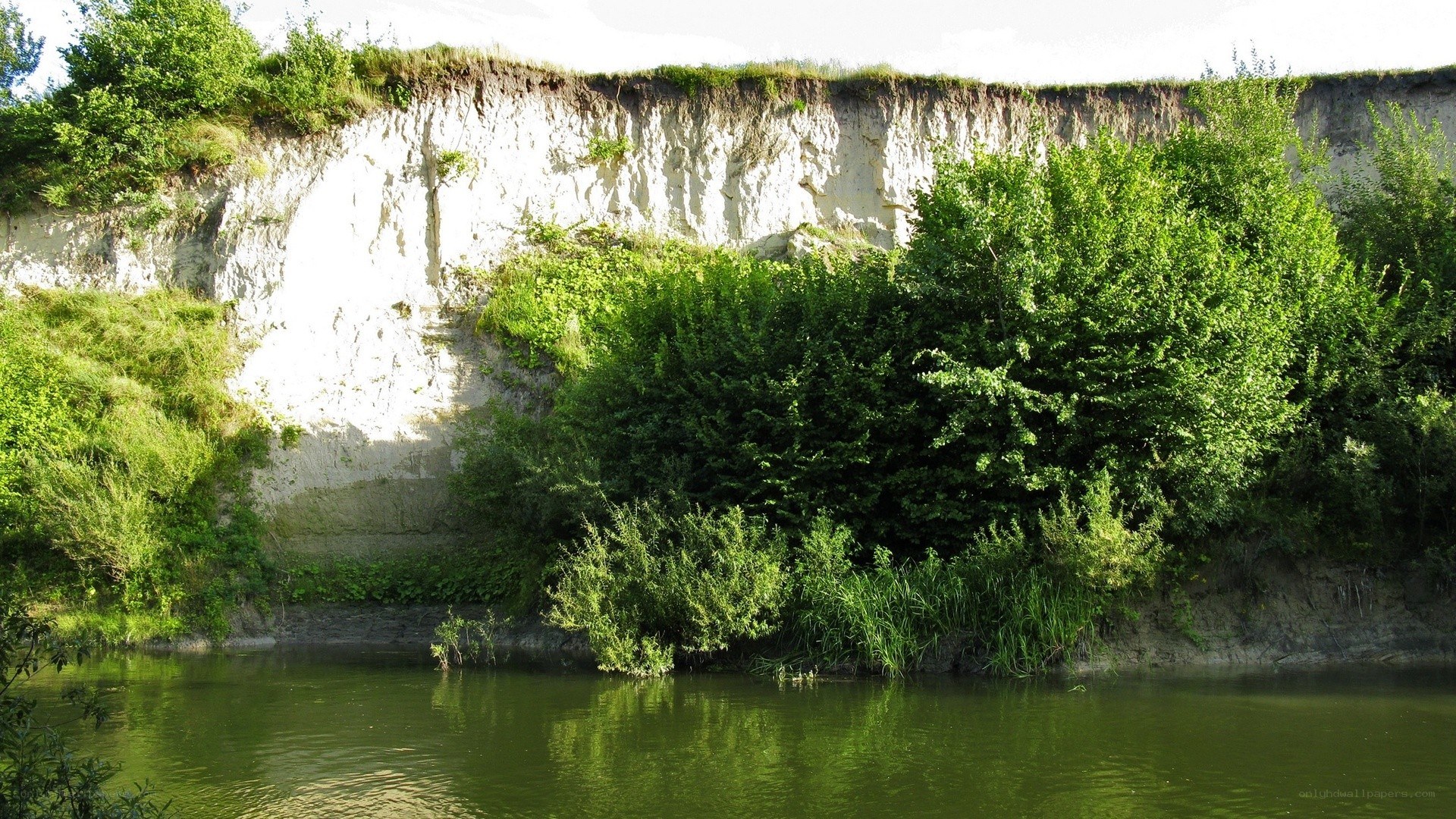 Riverbank with chalk cliff