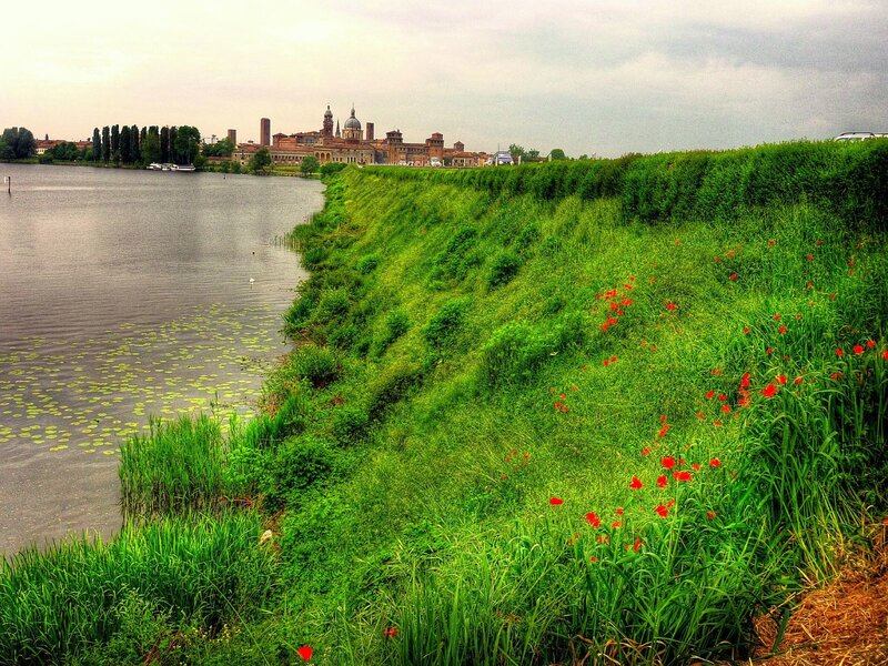 Riverbank with city view