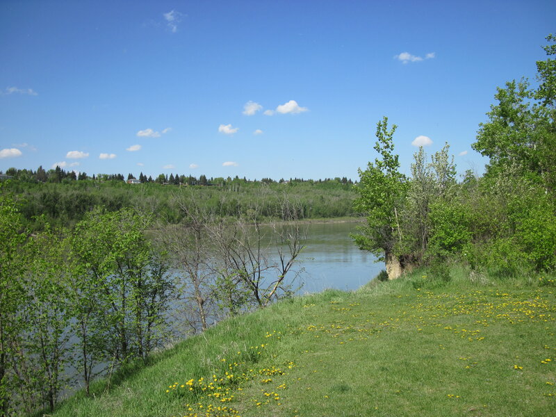 Riverbank with Dandelions