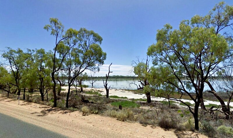 Riverbank with Eucalyptus Trees