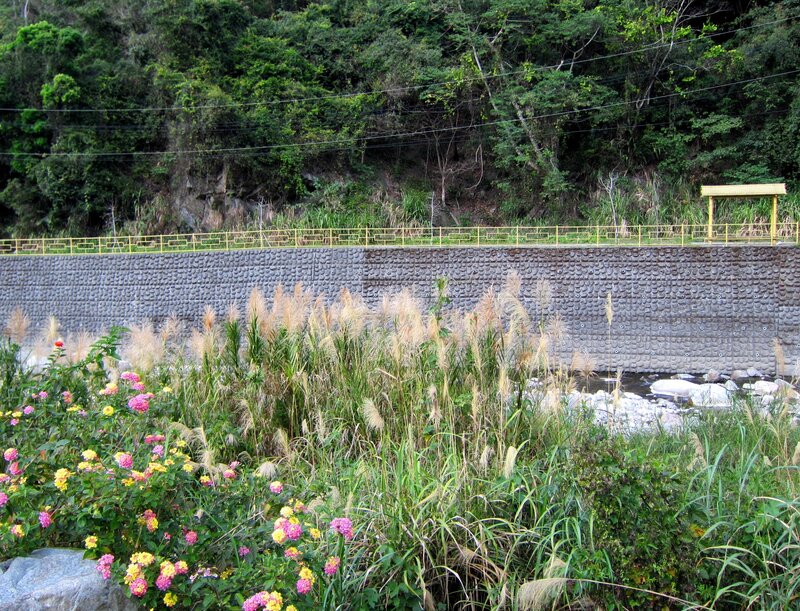 Riverbank with Flowers