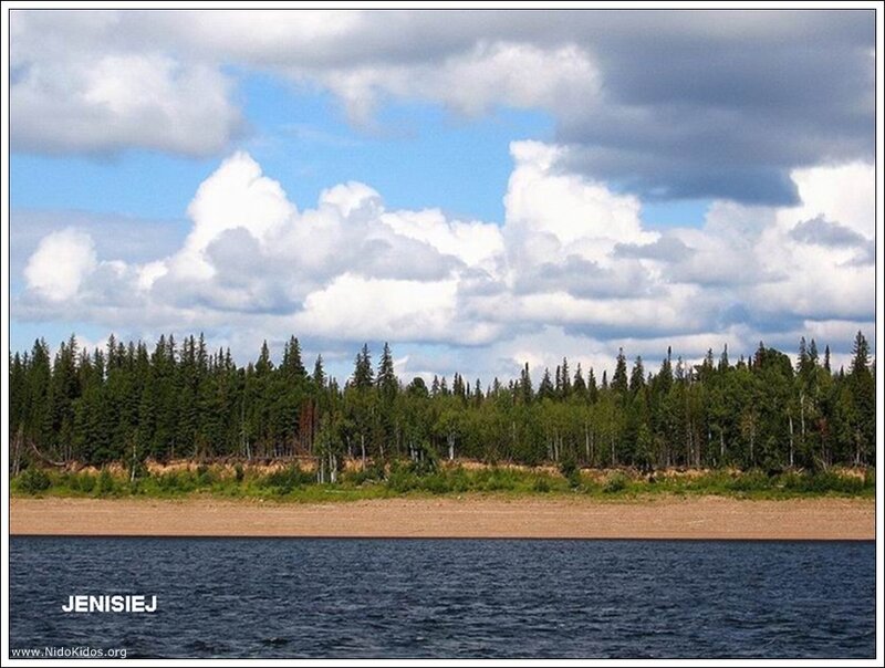 riverbank with forest and clouds