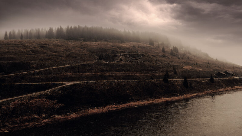 Riverbank with Forest