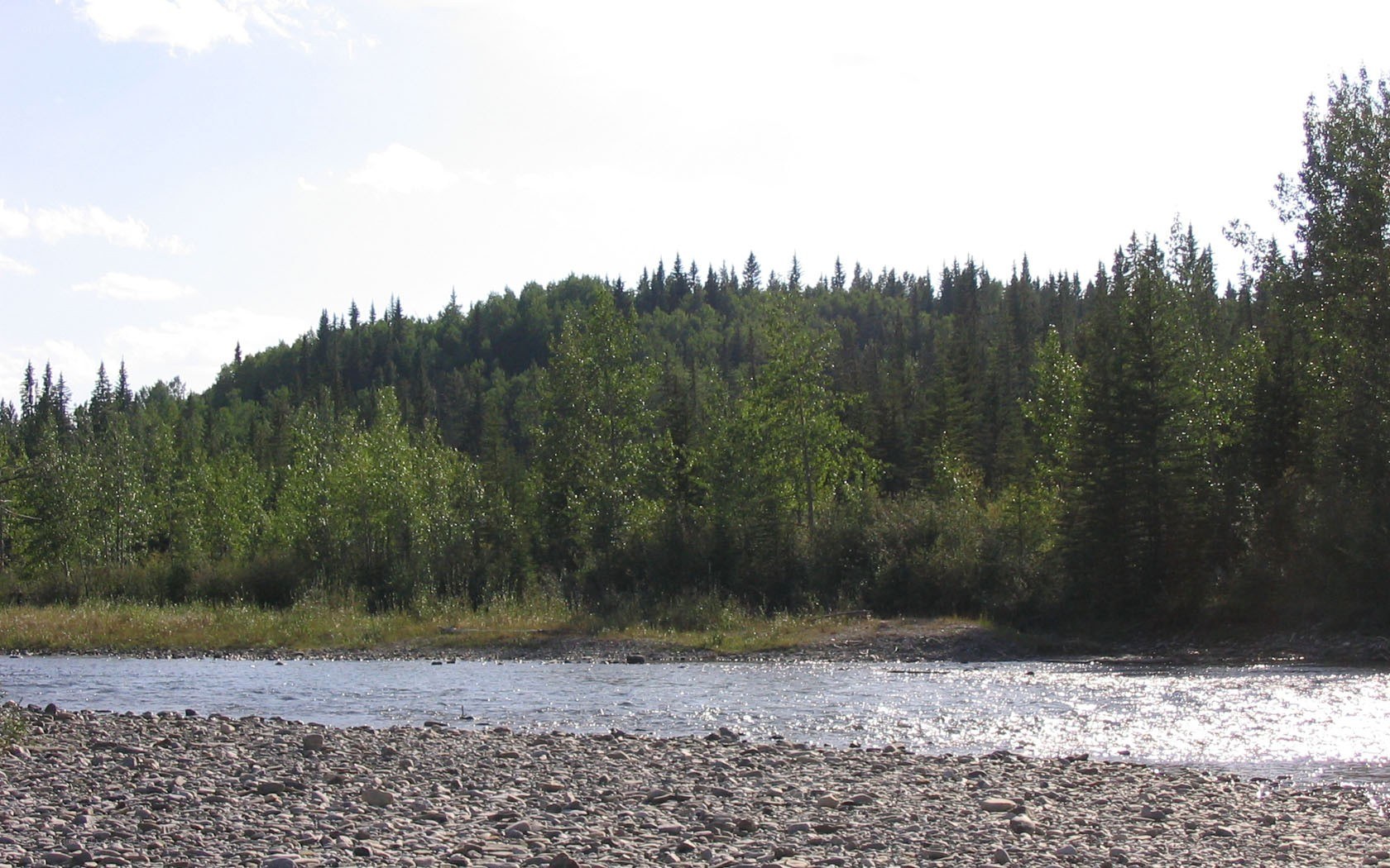 Riverbank with forested hill