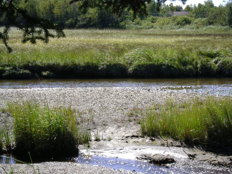 Riverbank with Gravel