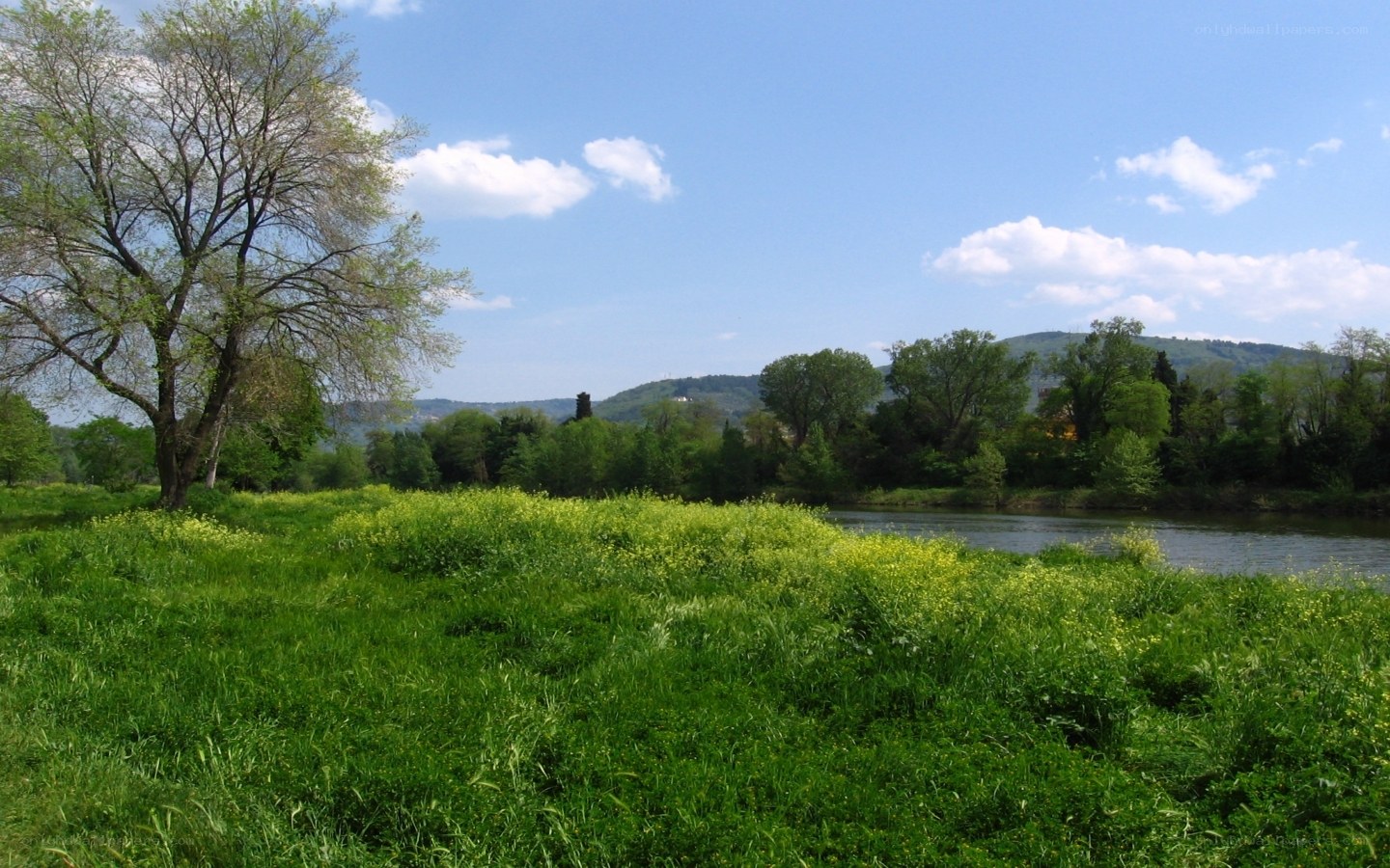 Riverbank with green fields