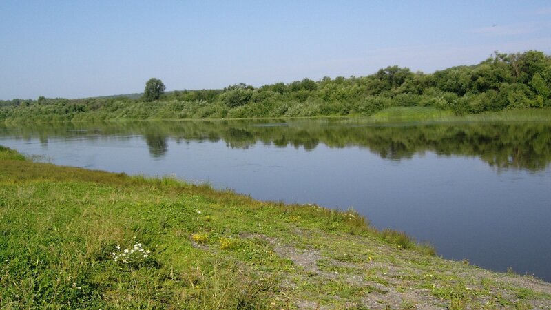 Riverbank with Green Grass — Serene