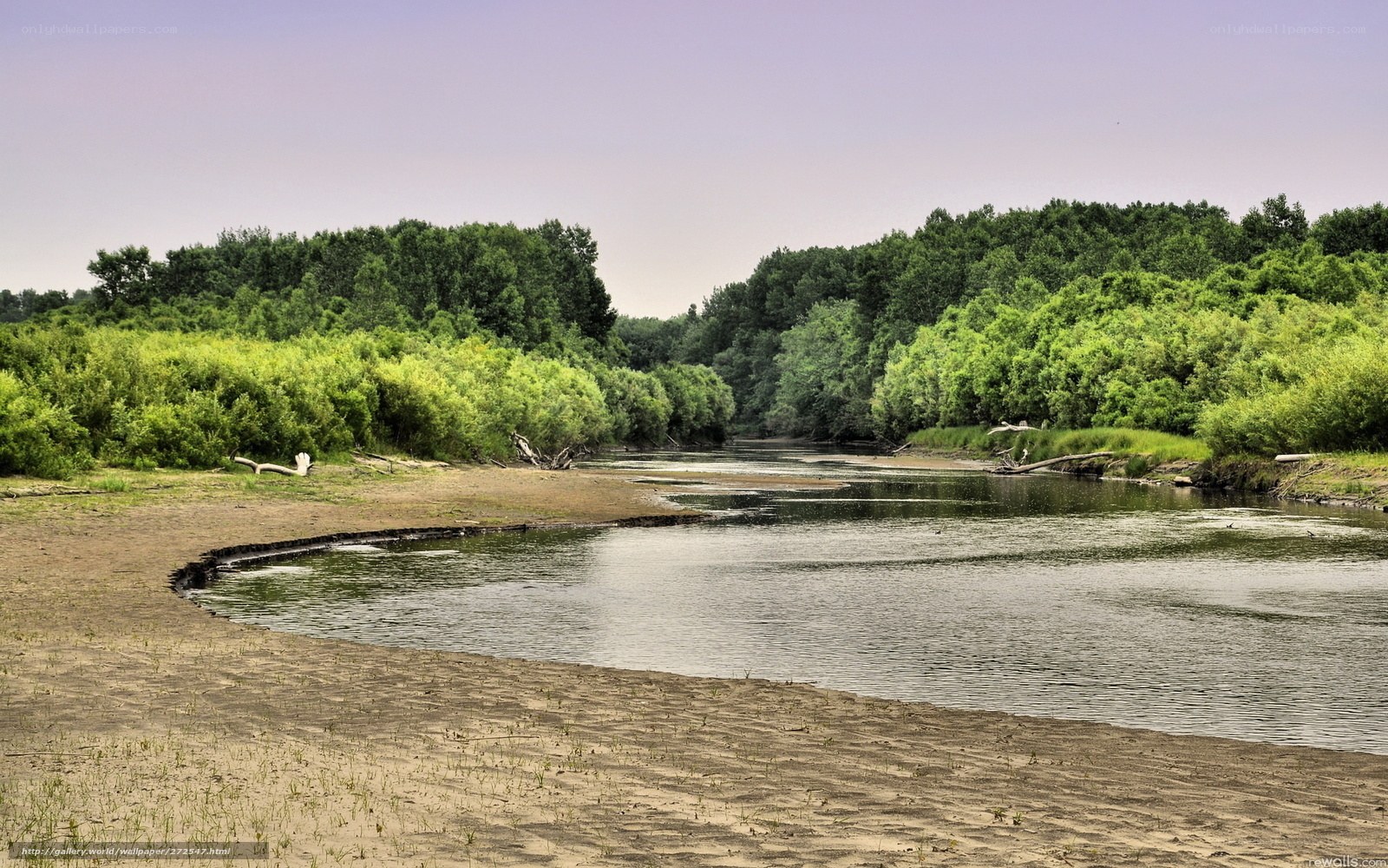 Riverbank with lush greenery