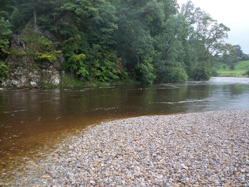 Riverbank with pebbles and trees