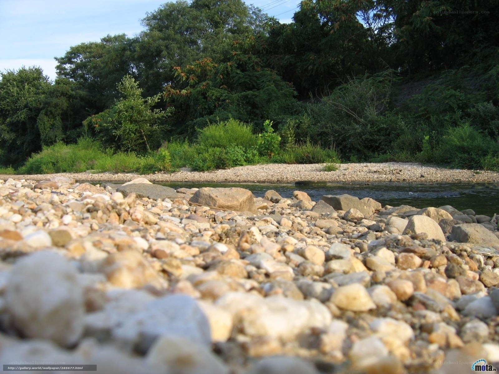 Riverbank with pebbles and trees