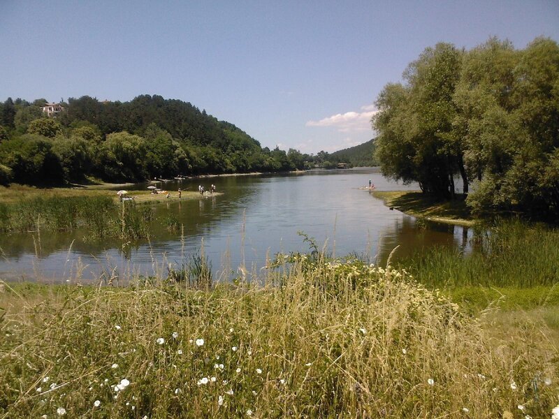 Riverbank with people and trees