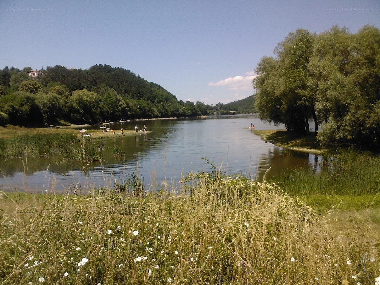 Riverbank with people and trees