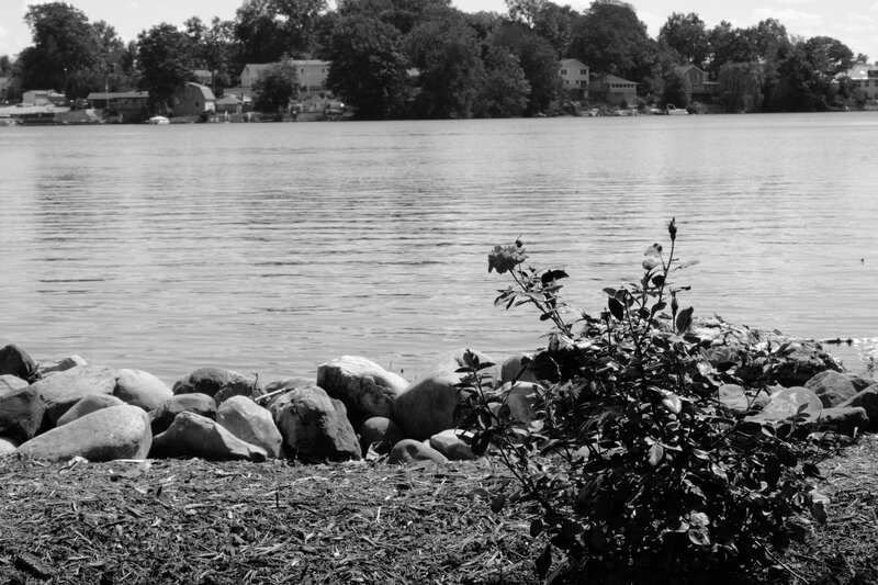 Riverbank with Rocks