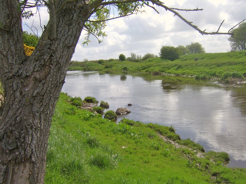 Riverbank with tree and green hills