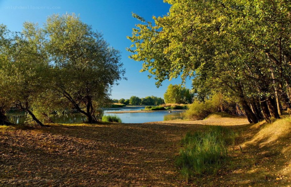 Riverbank with trees and blue sky