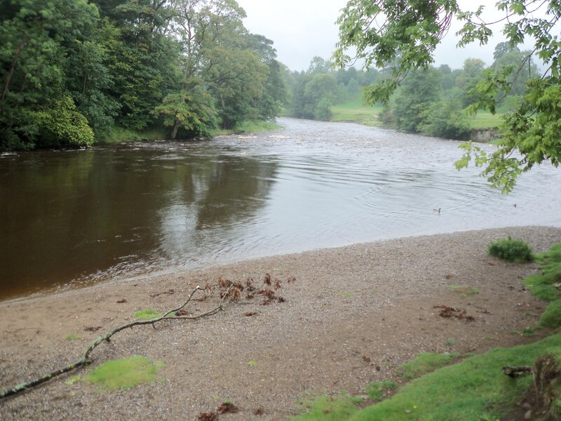 Riverbank with trees and gravel