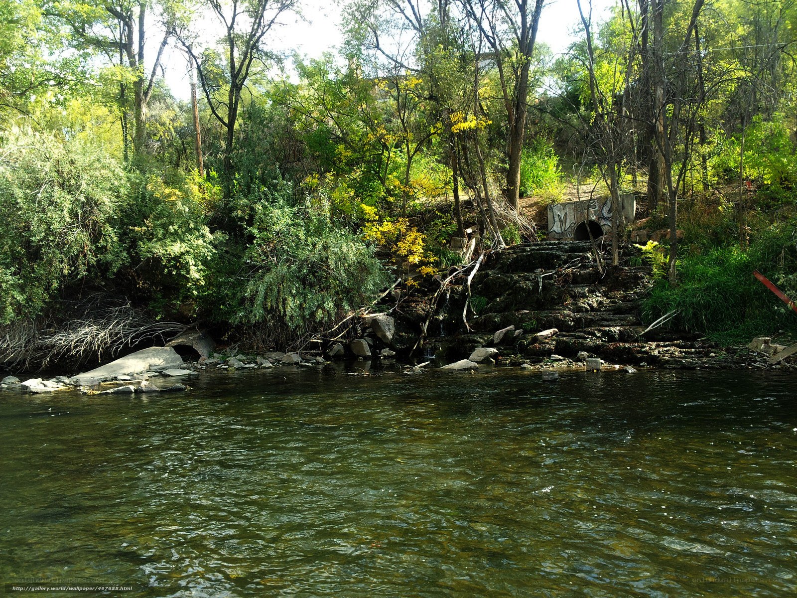 Riverbank with trees and steps