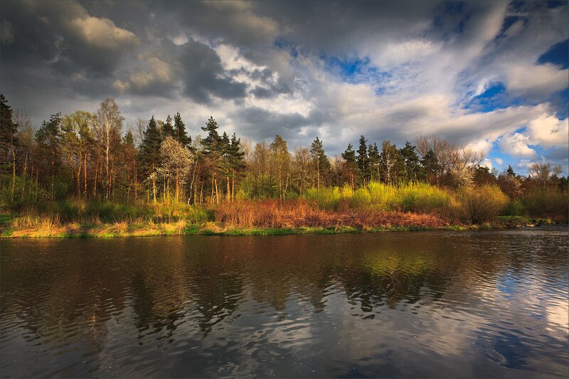 Riverbank with Trees — Blue, Dramatic, Spring