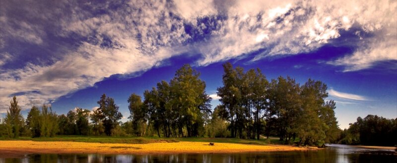 Riverbank with Trees — Blue, Dramatic
