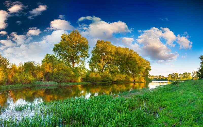 Riverbank with Trees — Blue, Serene