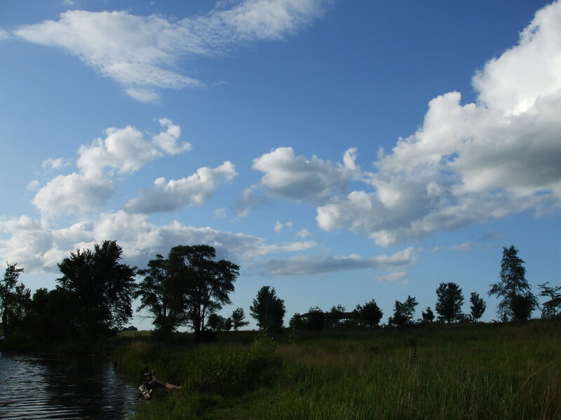 Riverbank with Trees — Blue