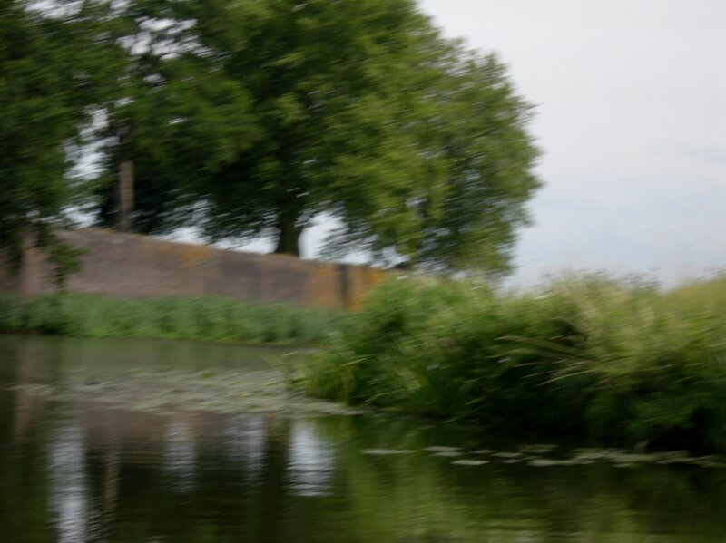 Riverbank with Trees — Green, Calm, Photograph
