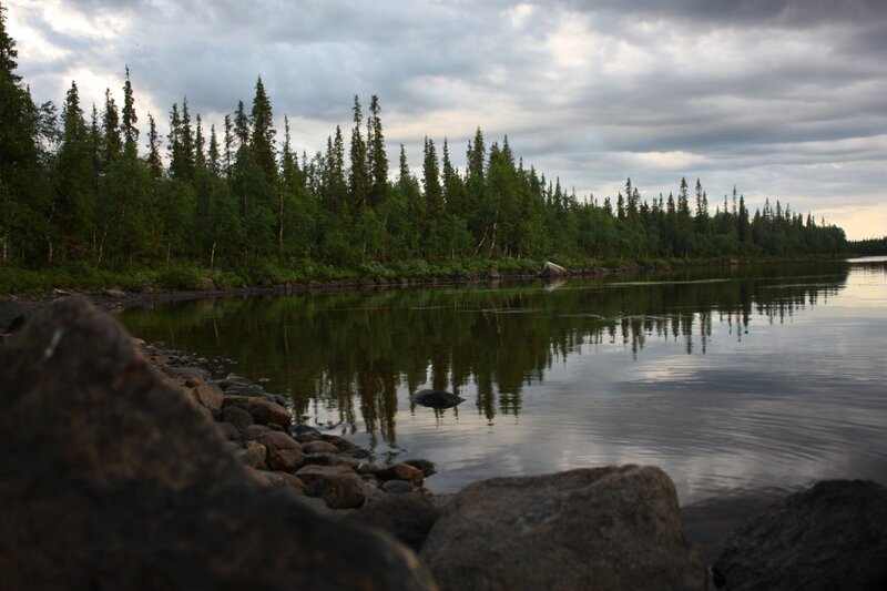Riverbank with Trees — Green, Calm, Sunset