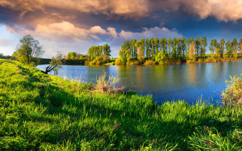 Riverbank with Trees — Green, Dramatic
