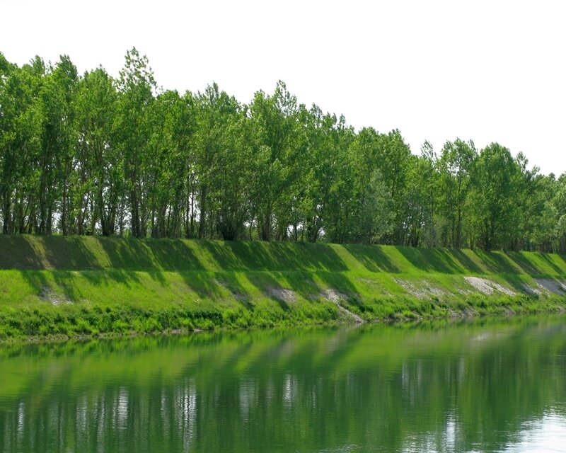 Riverbank with Trees — Green, Serene, Afternoon, Photograph, River, Slope